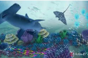 Bsports网页版最新版